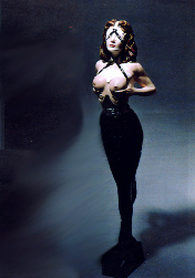 Bind Beauty
